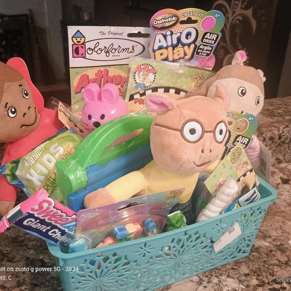 Kids Toy  Arthur DW Custom Kids Basket - Picture 6 of 6